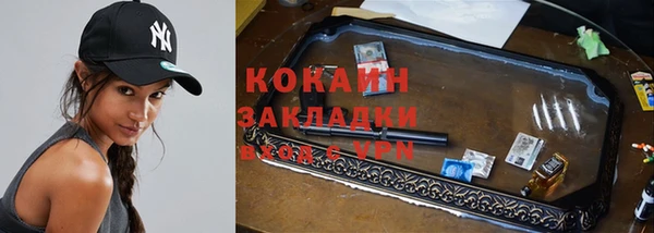 ГАЛЛЮЦИНОГЕННЫЕ ГРИБЫ Алексин