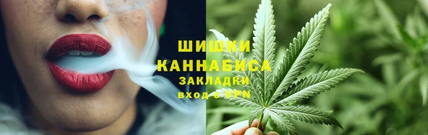 ГАЛЛЮЦИНОГЕННЫЕ ГРИБЫ Алексин