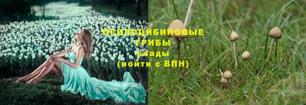 альфа пвп Новодвинск