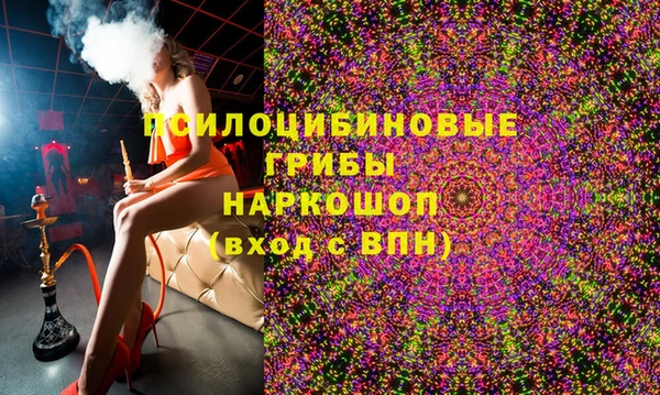 ГАЛЛЮЦИНОГЕННЫЕ ГРИБЫ Алексин