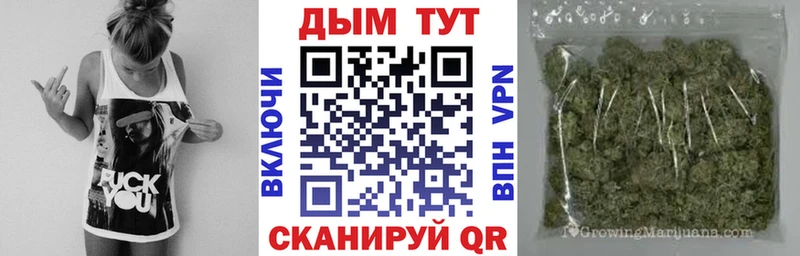 Каннабис OG Kush  Анива 